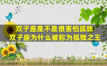 双子座是不是很害怕孤独 双子座为什么被称为孤独之王